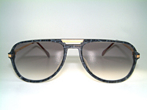 Jaguar 221 - Medium Details