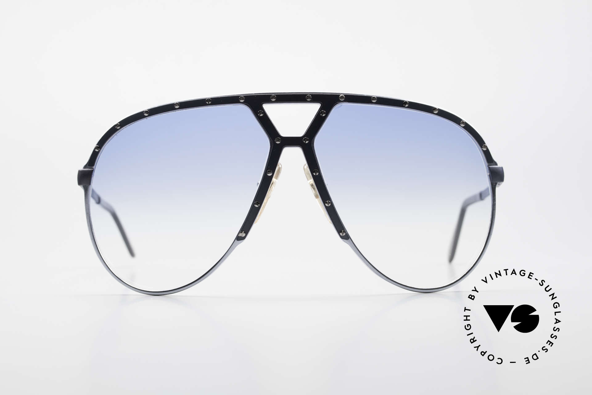 Sunglasses Alpina M1 80's Generation Model