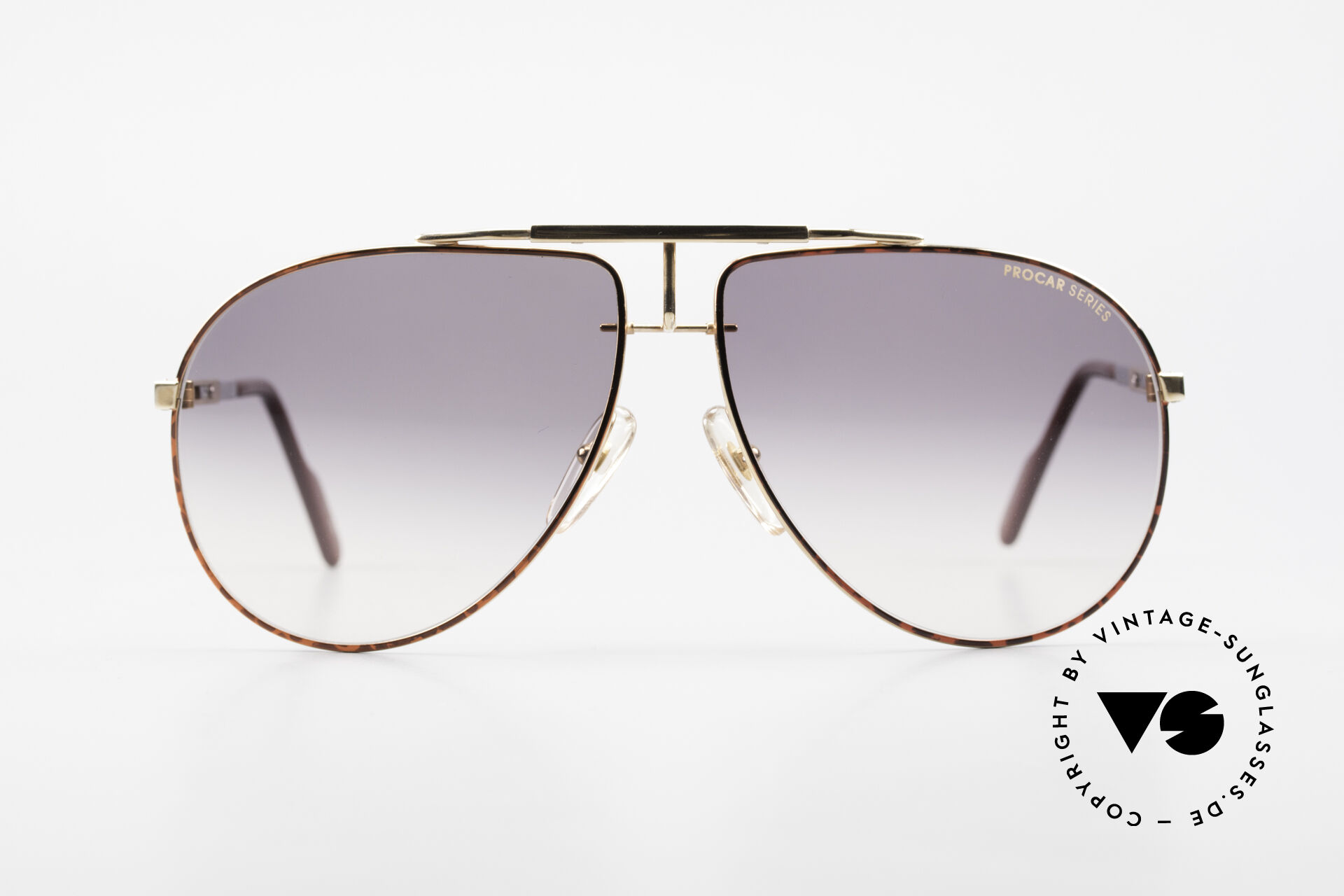Sunglasses Alpina PC701 Adjustable Vintage Frame