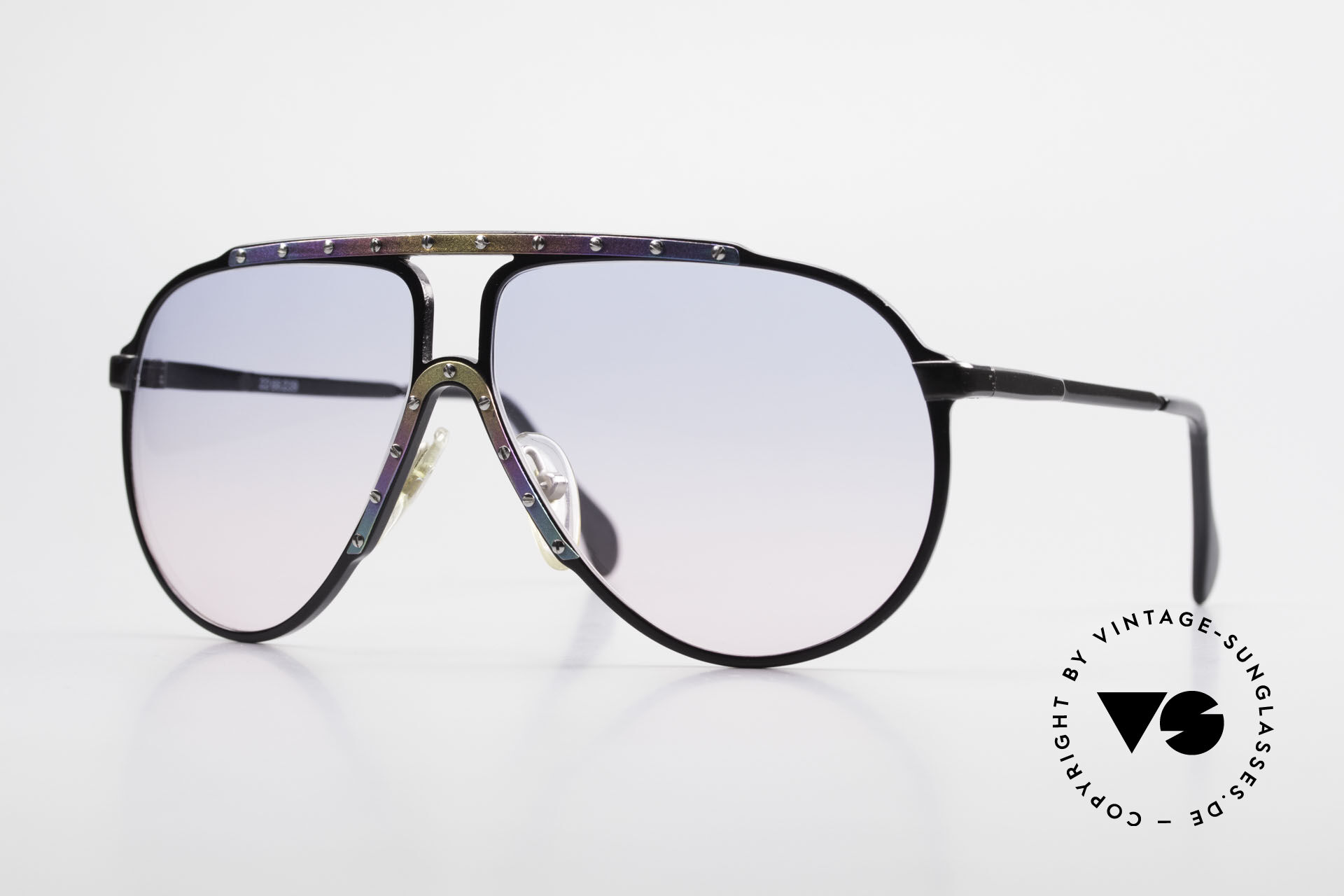 Alpina sunglasses store