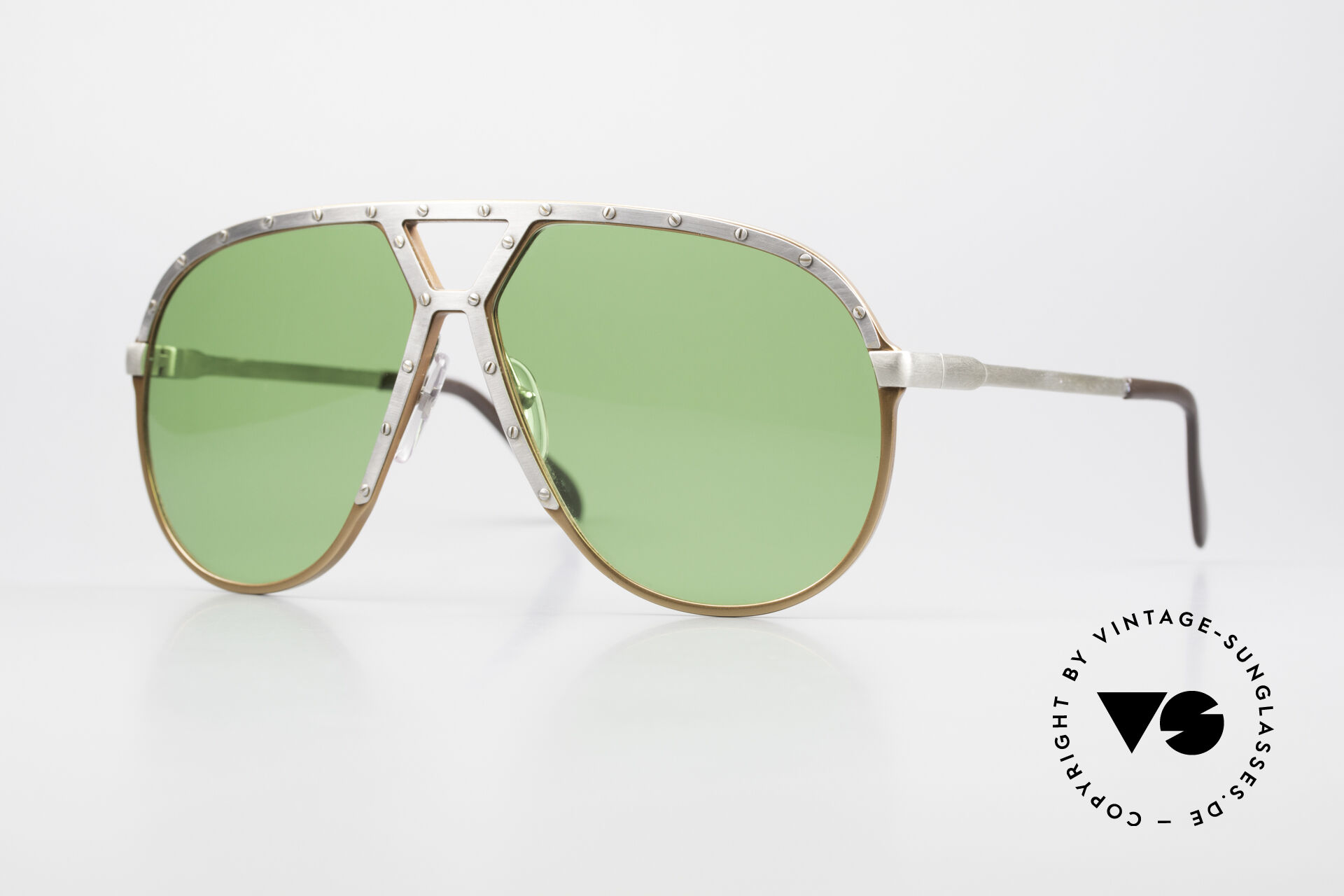 Sunglasses Alpina M1 80 display picture 3