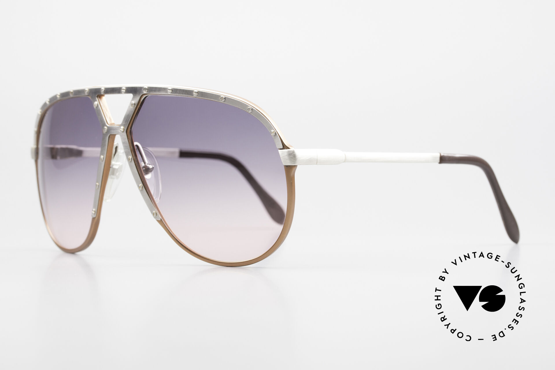 Sunglasses Alpina M1 Unique Gray To Pink Gradient