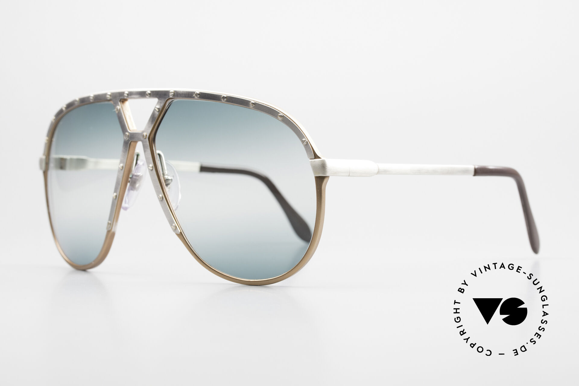 Sunglasses Alpina M1 Antique Double Gradient