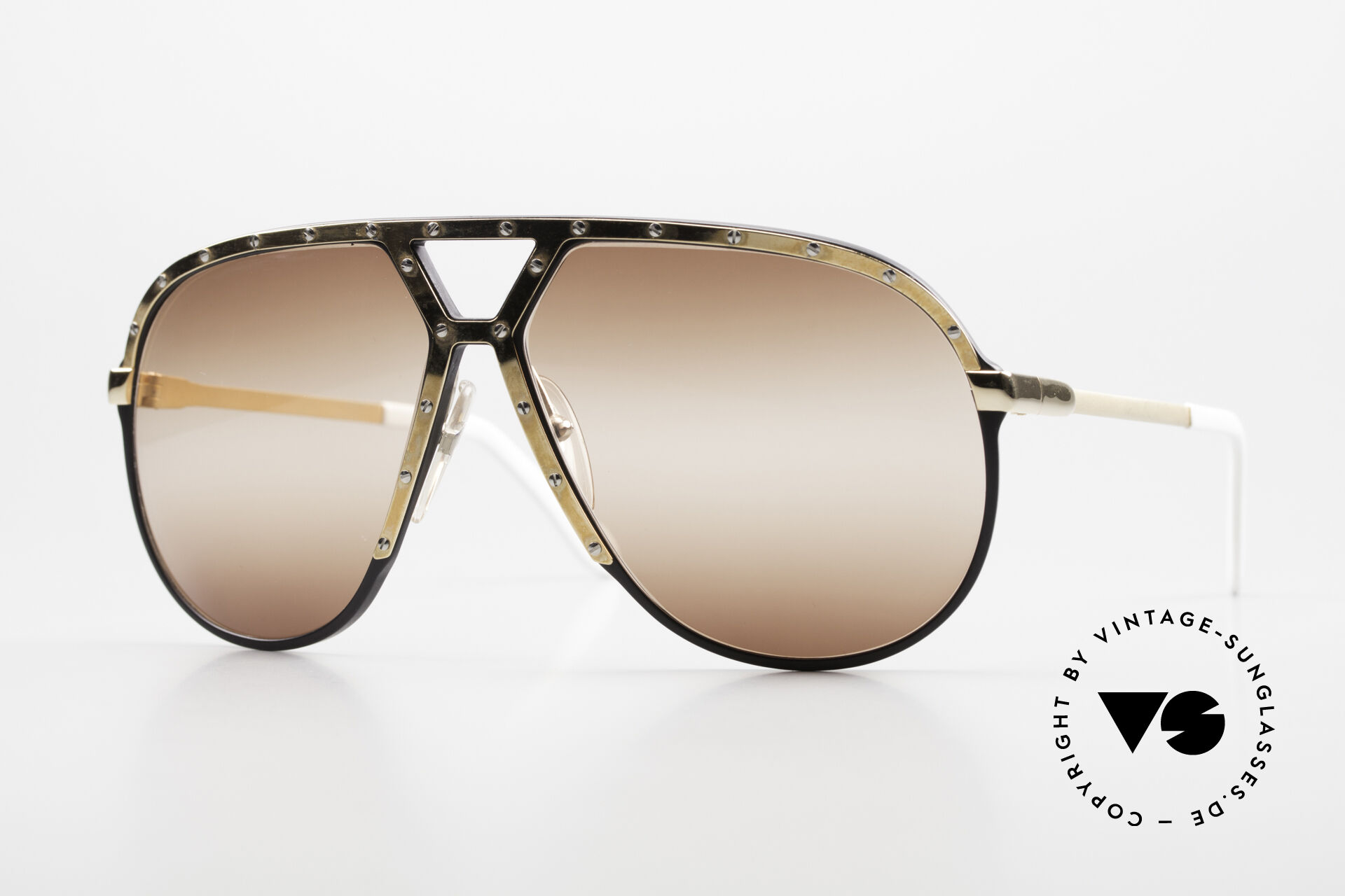 Sunglasses Alpina M1 Double Gradient Brown Lenses