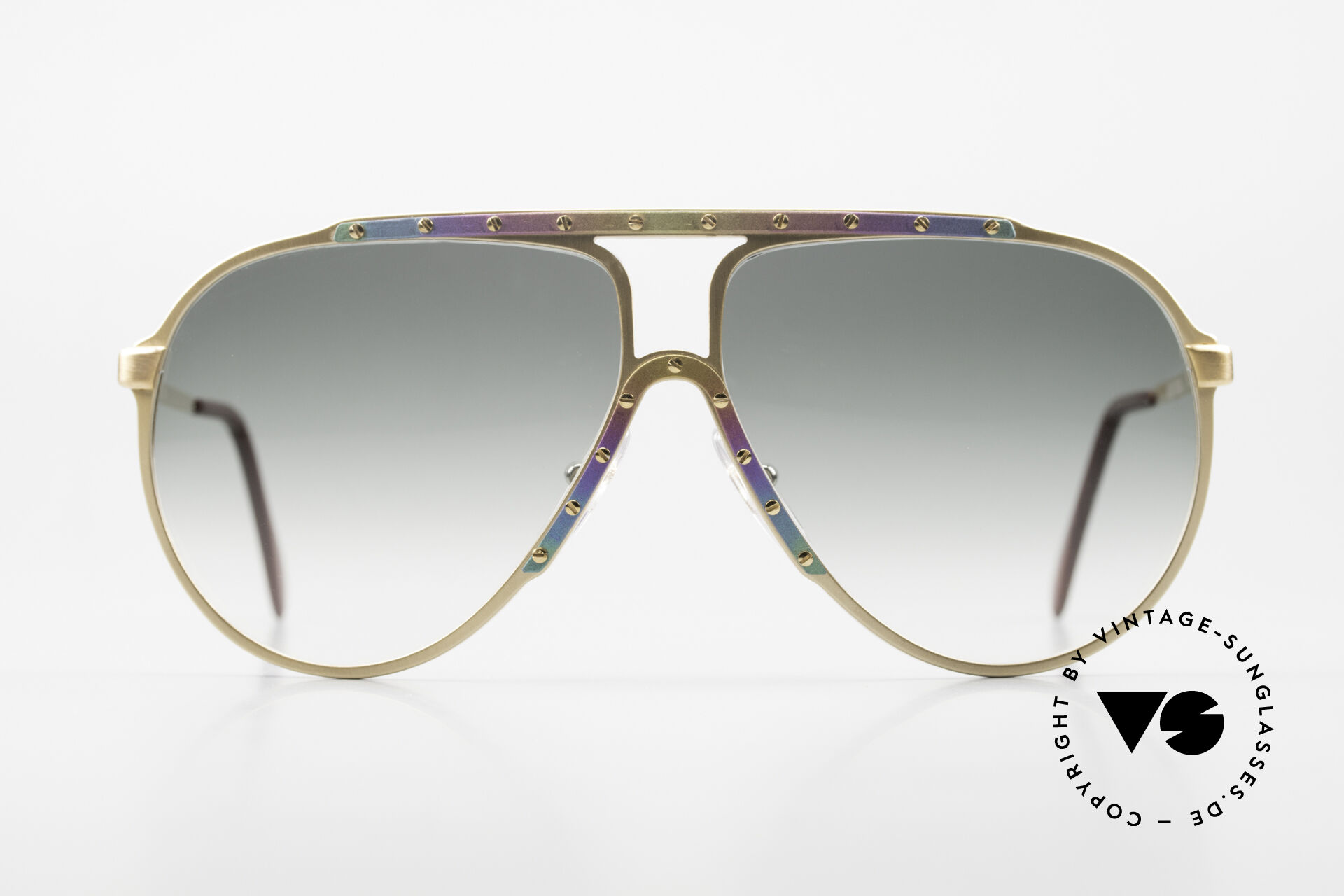 web限定アイテム Sunglasses Alpina M1 Limited 80's Titanium Edition 小物