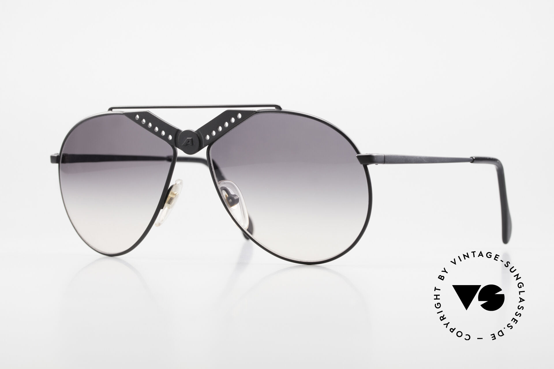 Black alpina sunglasses 2025