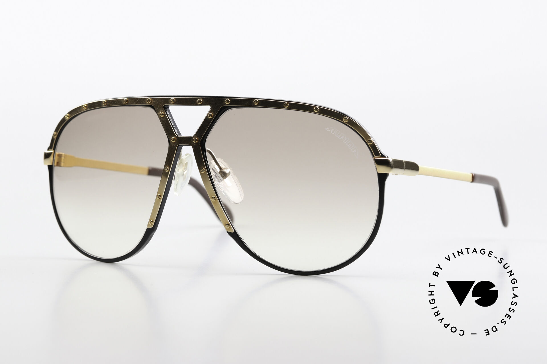 Sunglasses Alpina M1 With Light Tinted Sun Lenses