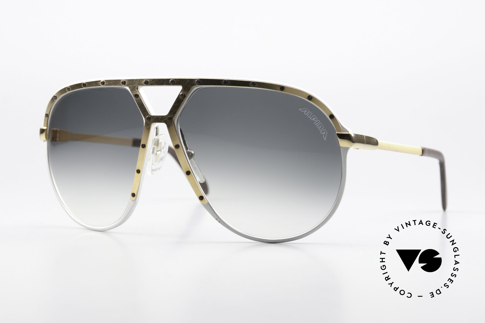 Sunglasses Alpina M1 Never Before Seen Version