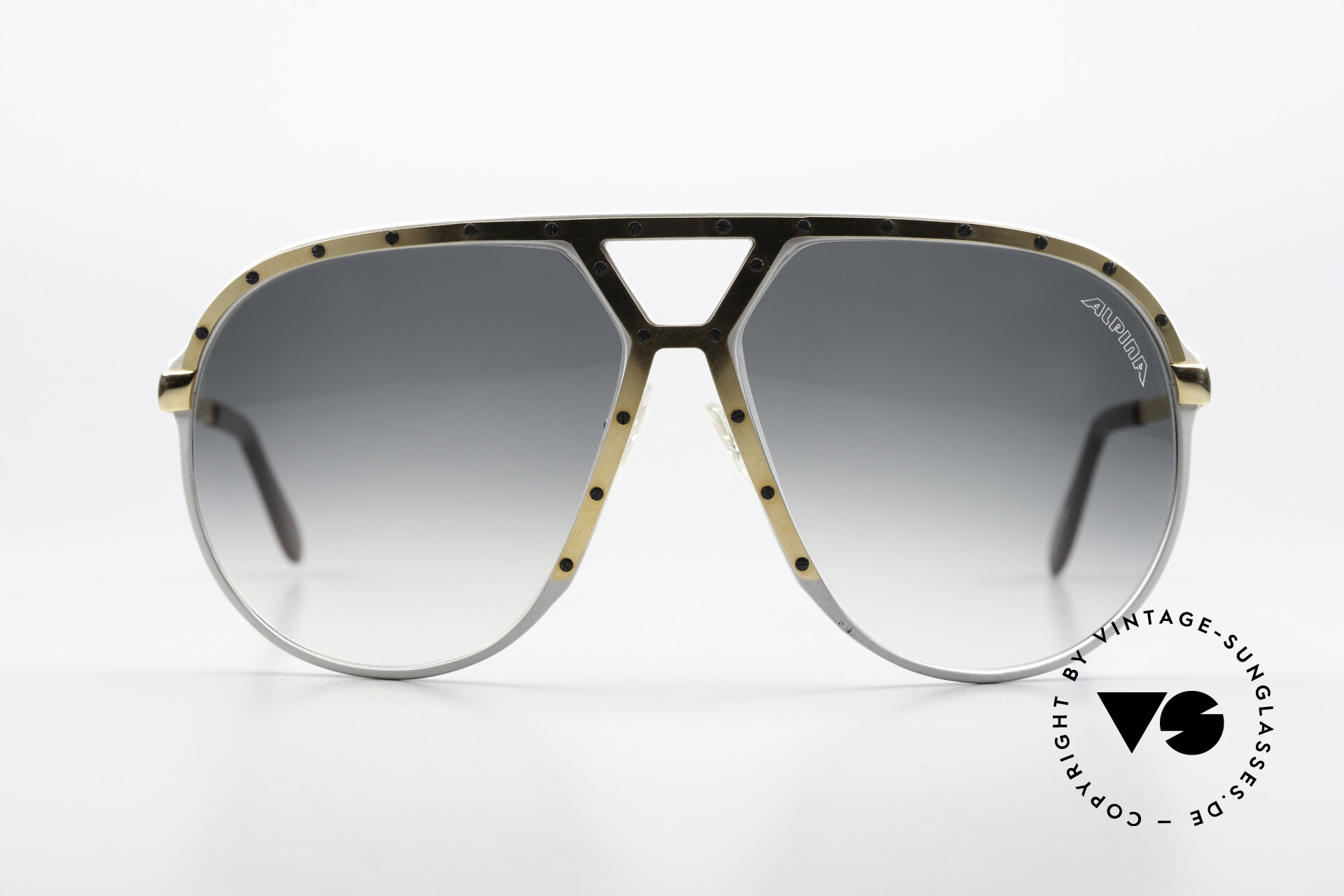 Sunglasses Alpina M1 Never Before Seen Version