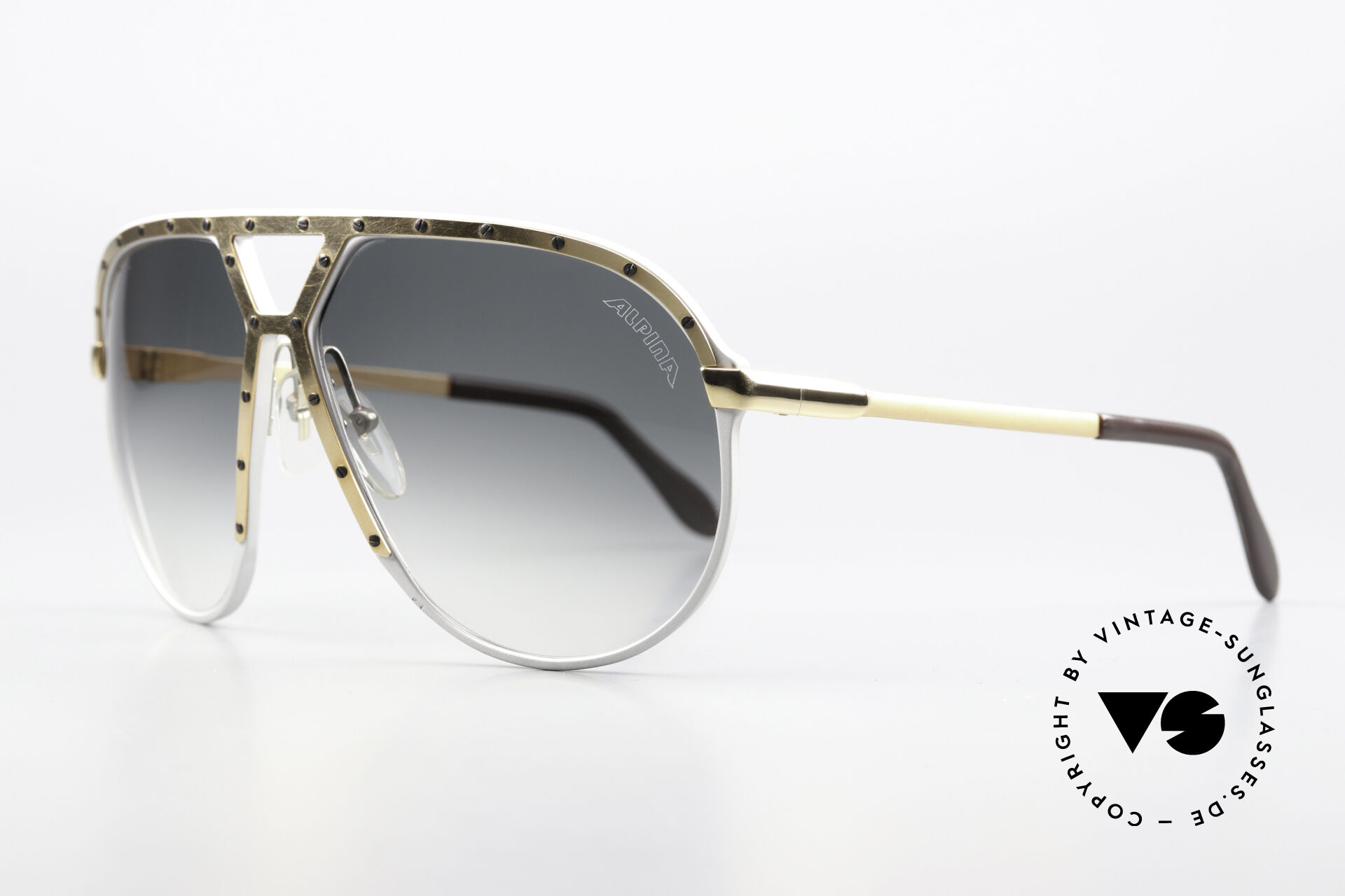 Sunglasses Alpina M1 Never Before Seen Version