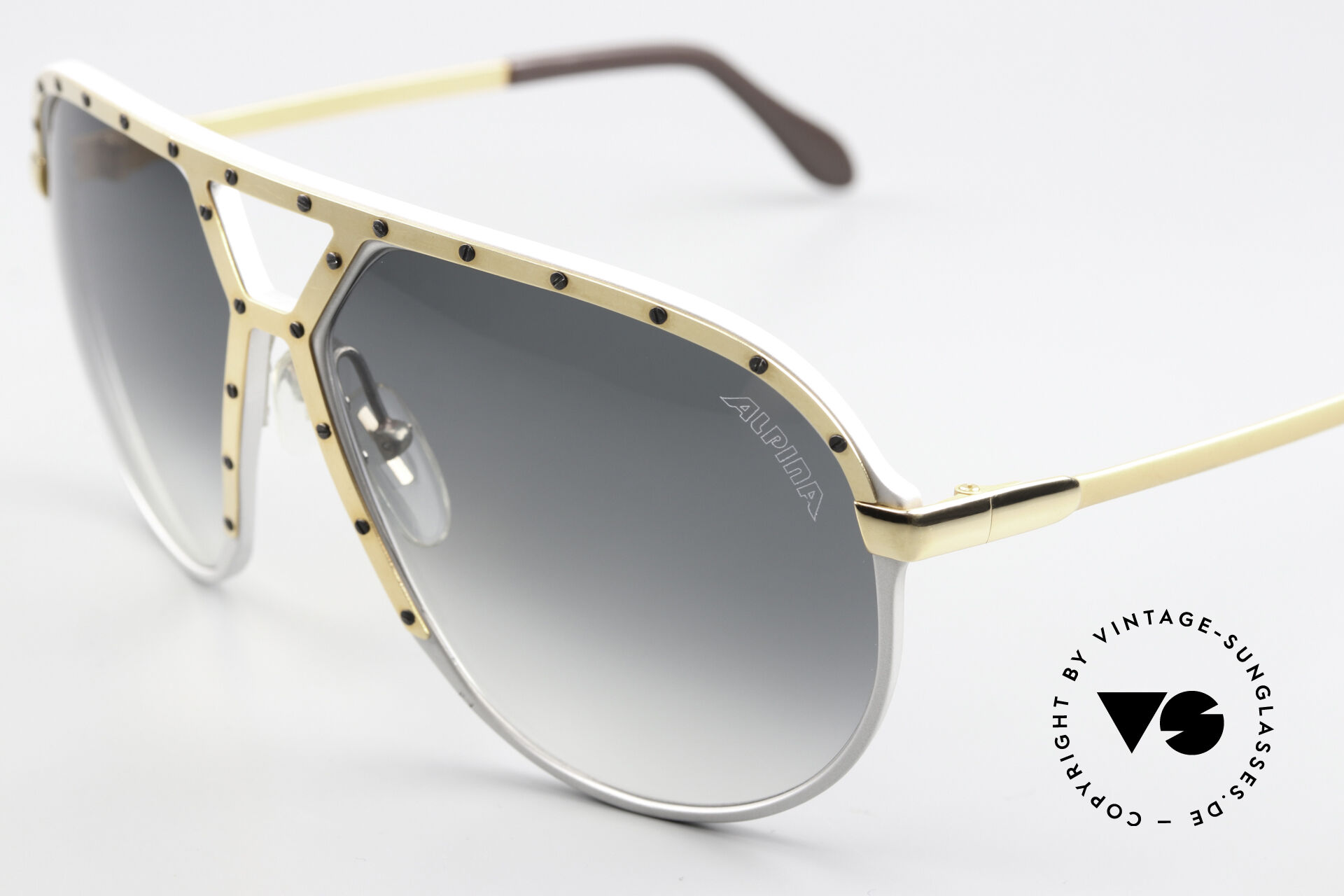 Sunglasses Alpina M1 Never Before Seen Version