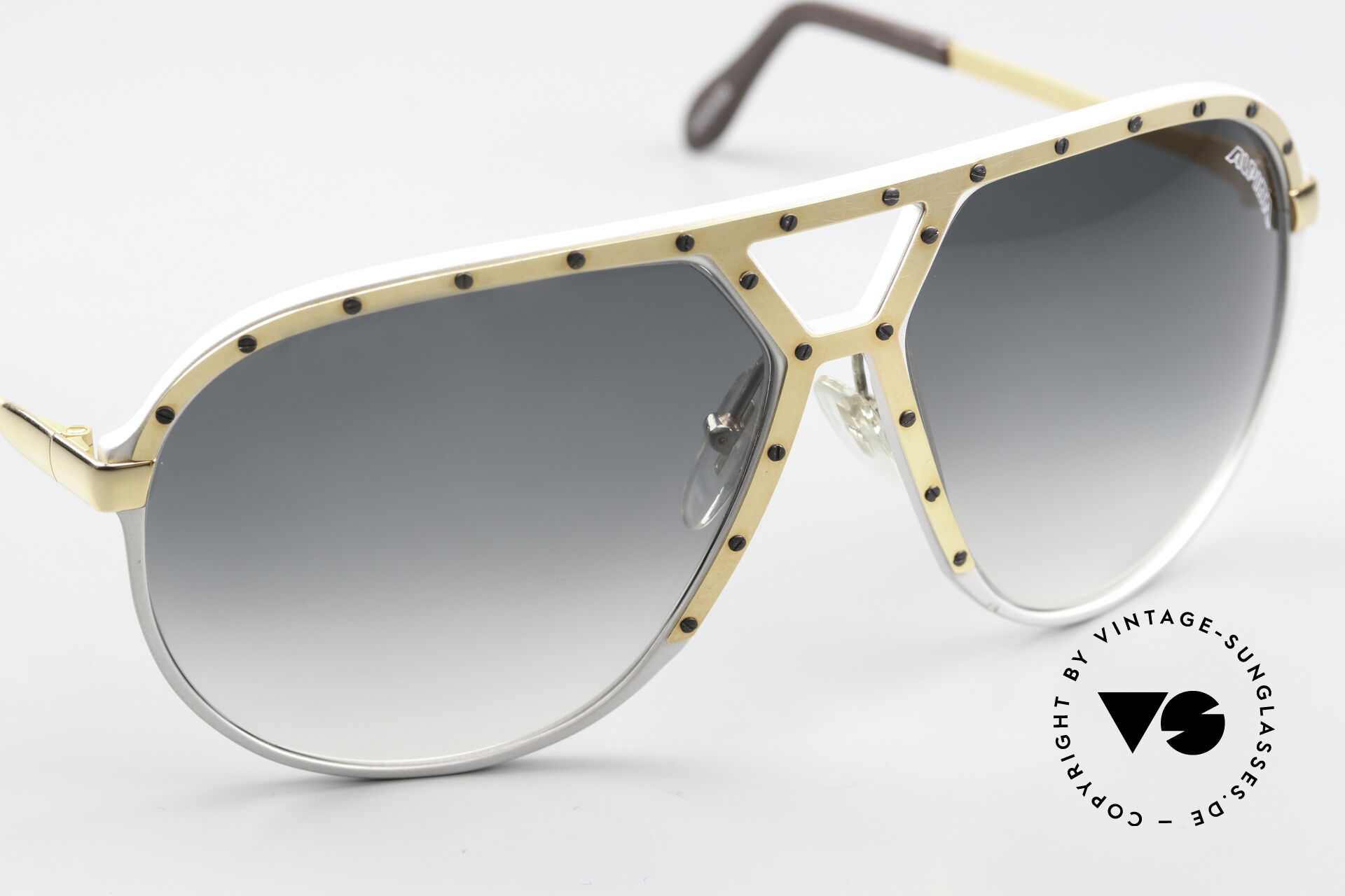 Sunglasses Alpina M1 Never Before Seen Version