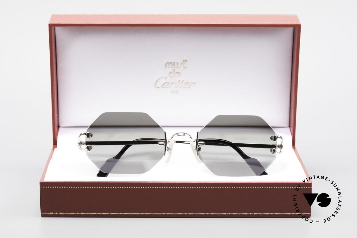 Cartier Rimless Octag - M Octagonal Luxury Sunglasses, NO RETRO, but a RARE old ORIGINAL, one of a kind!, Made for Men and Women