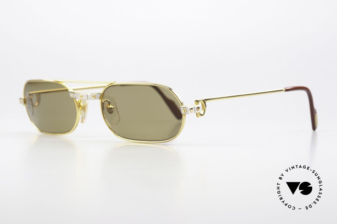 Cartier MUST Santos - M Elton John 80's Sunglasses, worn by Elton John (video "I'm still standing", 1983), Made for Men