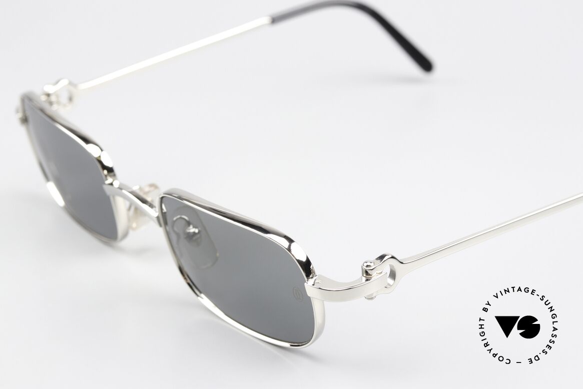 Cartier Dreamer - M 90's Platinum Sunglasses, orig. Cartier catalogue reference number: T8200315, Made for Men and Women