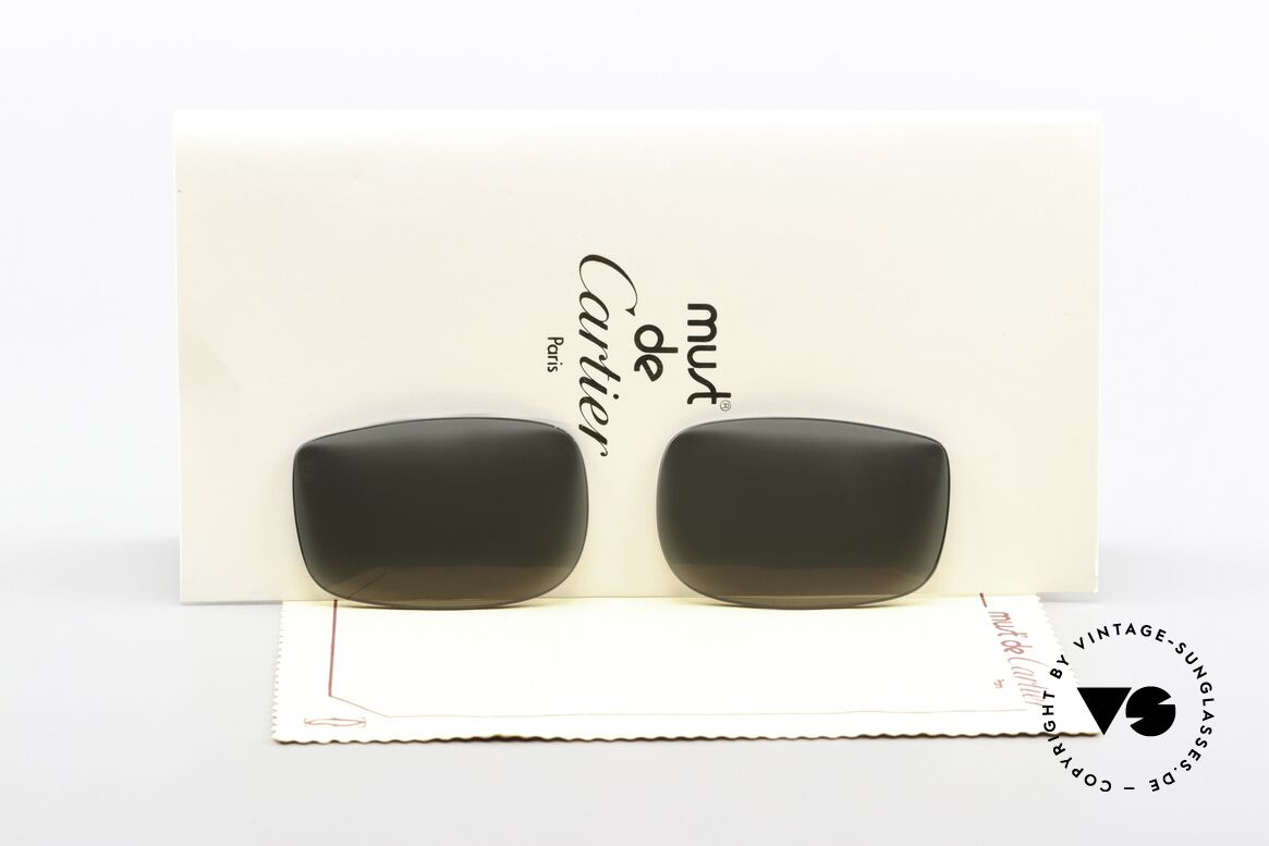 Cartier Vertigo Lenses Original Lenses 54mm Size, again: ONLY suitable for Vertigo in 54mm size!!!, Made for Men and Women