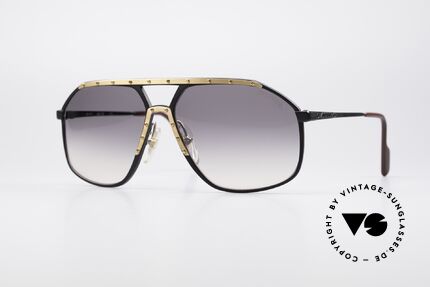 Alpina M1/7 Iconic Vintage Sunglasses Details