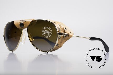 Sunglasses Alpina 3489 Arctis Sports Glacier Sunglasses