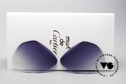 Cartier Vendome Lenses - L Blue Gradient Sun Lenses Details