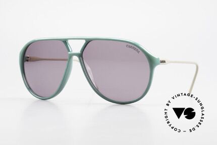 Carrera 5425 80's 90's Sports Lifestyle Shades Details