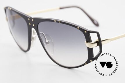 Alpina A51 Ultra Rare 90's XL Sunglasses, thus, covered with the distinctive ALPINA SCREWS, Made for Men and Women