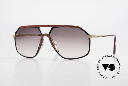 Alpina M6 Rare 80's Vintage Sunglasses Details