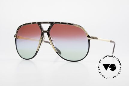 Alpina M1 Customized 80's Sunglasses Details