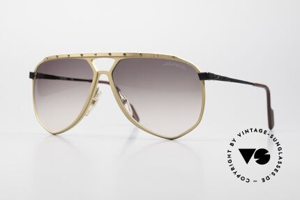 Alpina M1/4 Rare West Germany Sunglasses Details