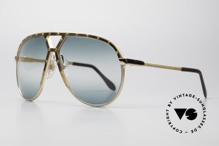 Alpina m1 sunglasses hot sale