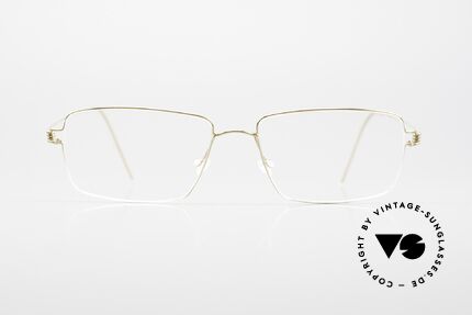 Clip on sunglasses for lindberg frames on sale