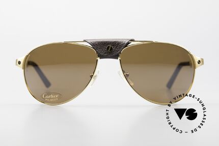 Cartier top santos glasses