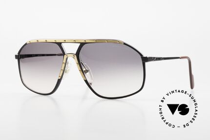 Alpina M1/7 80's Men's Sunglasses XL Details