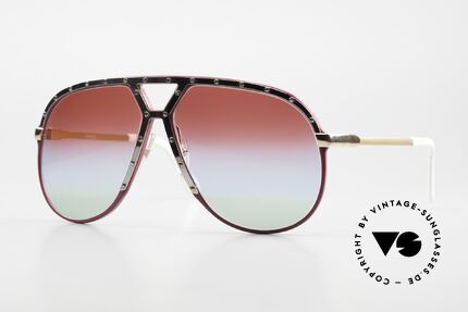 Alpina M1 West Germany Sunglasses Details