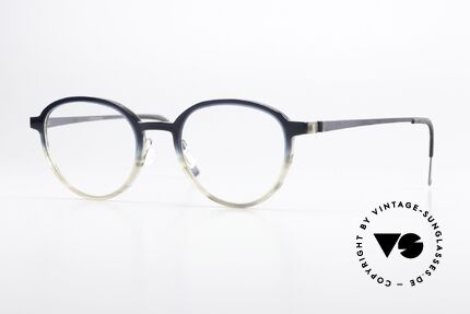 Lindberg 1176 Acetanium Frame From Blue To Gray Details