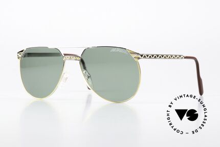 Alpina M42 West Germany Sunglasses Details