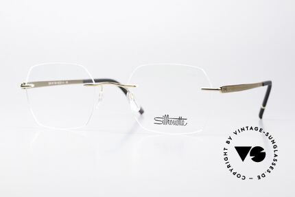 Silhouette 5529 Gold-Plated Titanium Frame Details