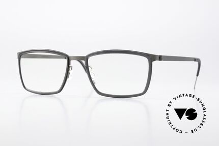 Lindberg 9711 Strip Titanium Timeless Frame Coloring Details