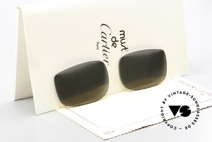 Cartier Vertigo Lenses Original Lenses 54mm Size Details