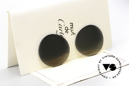 Cartier Diabolo Lenses Original Lenses 53mm Size Details