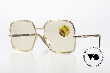 Zeiss 421 Changeable Lenses 1970's Details