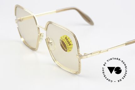 Zeiss 421 Changeable Lenses 1970's, the lenses are darker in the sun and lighter in the shade, Made for Women