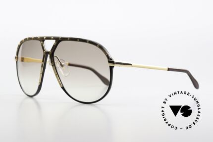 Alpina M1 With Light Tinted Sun Lenses, brown gradient lenses with original Alpina logo, Made for Men